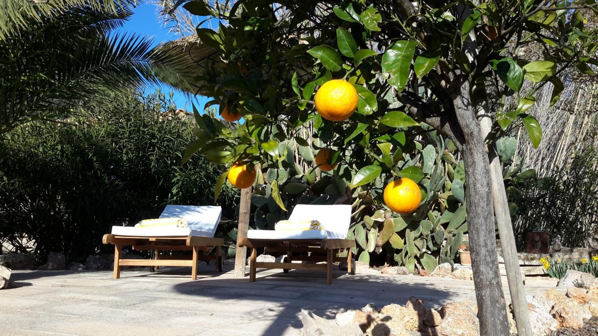 Finca Alqueria Fosca Campos  Ngoại thất bức ảnh