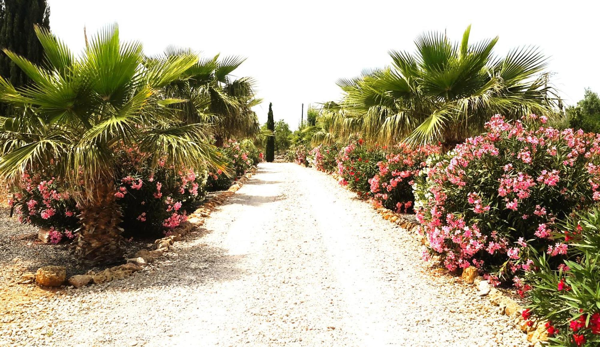Finca Alqueria Fosca Campos  Ngoại thất bức ảnh