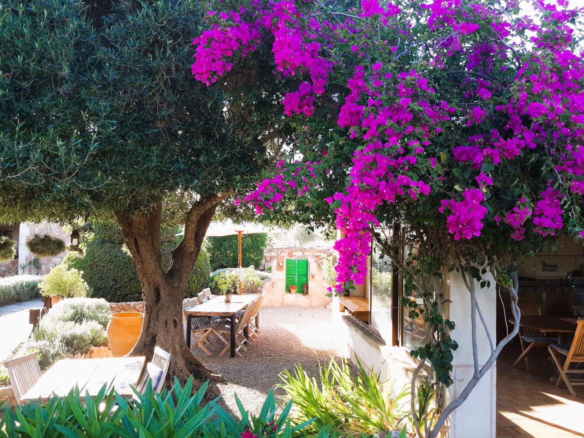 Finca Alqueria Fosca Campos  Ngoại thất bức ảnh